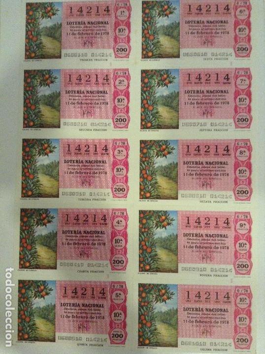Loterie Nationale: BILLETE COMPLETO DE LOTERIA. 1978. 6/78. CULTIVO DE C&Iacute;TRICOS. ADM. DE LOTERIA CASA ARIAS. C&Aacute;DIZ