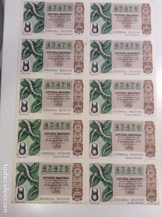 Lotaria Nacional: BILLETE COMPLETO DE LOTERIA. 1978. 22/78. GUSANOS DE SEDA. AD. CASA ARIAS. C&Aacute;DIZ