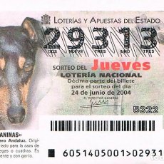 Lotería Nacional: RAZAS CANINAS, RATONERO BODEGUERO ANDALUZ, LOTERIA NACIONAL DEL 24--6-2004