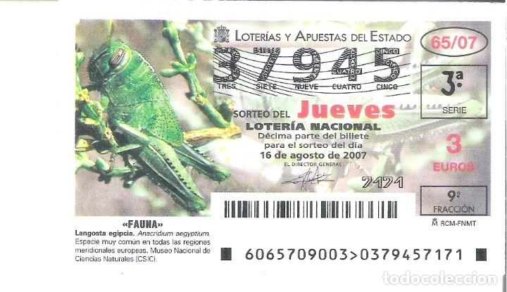 Loterie Nationale: 1 DECIMO DE LOTERIA DEL JUEVES - 16 AGOSTO 2007 - 65/07 - FAUNA - INSECTOS ( LANGOSTA EGIPCIA )