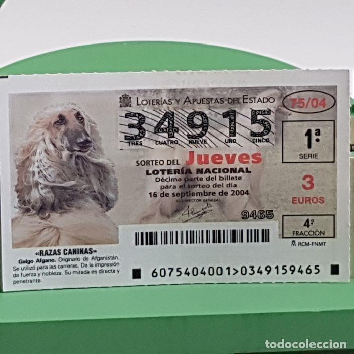 Lotteria Nationale Spagnola: LOTER&Iacute;A NACIONAL, SORTEO JUEVES 75/04, 16 SEPTIEMBRE 2004, RAZAS CANINAS, GALGO AFGANO, N&ordm; 34915