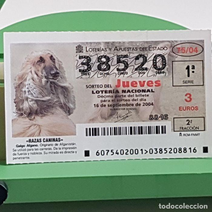 Lotteria Nationale Spagnola: LOTER&Iacute;A NACIONAL, SORTEO JUEVES 75/04, 16 SEPTIEMBRE 2004, RAZAS CANINAS, GALGO AFGANO, N&ordm; 38520