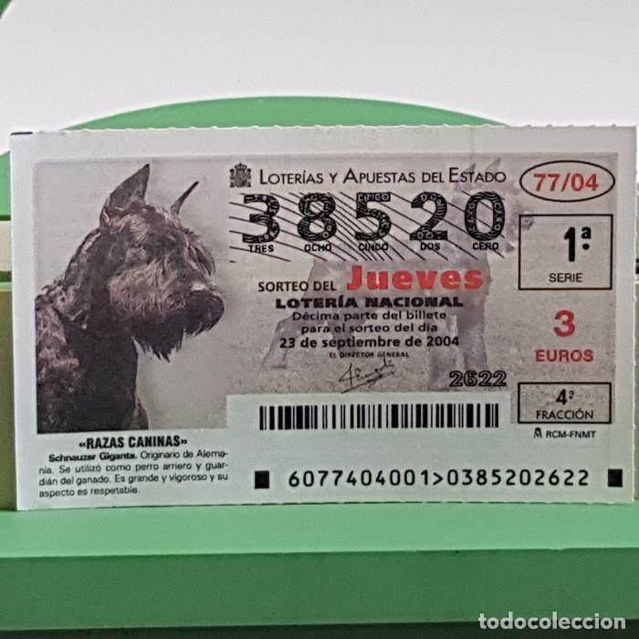 Lotteria Nationale Spagnola: LOTER&Iacute;A NACIONAL, SORTEO JUEVES 77/04, 23 SEPTIEMBRE 2004, RAZAS CANINAS, SCHNAUZER GIGANTE,N&ordm; 38520