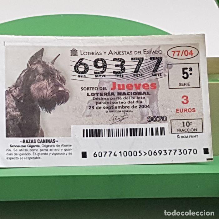 Lotaria Nacional: LOTER&Iacute;A NACIONAL, SORTEO JUEVES 77/04, 23 SEPTIEMBRE 2004, RAZAS CANINAS, SCHNAUZER GIGANTE,N&ordm; 69377