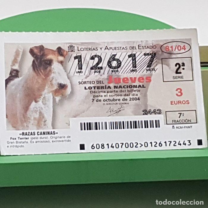 Lotaria Nacional: LOTER&Iacute;A NACIONAL, SORTEO JUEVES 81/04, 7 OCTUBRE 2004, RAZAS CANINAS, FOX TERRIER, N&ordm; 12617