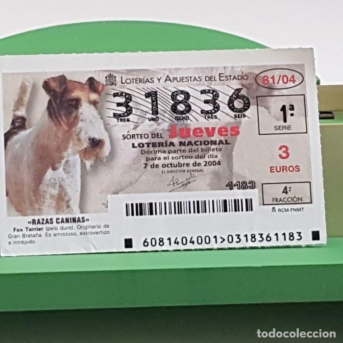 Lotaria Nacional: LOTER&Iacute;A NACIONAL, SORTEO JUEVES 81/04, 7 OCTUBRE 2004, RAZAS CANINAS, FOX TERRIER, N&ordm; 31836