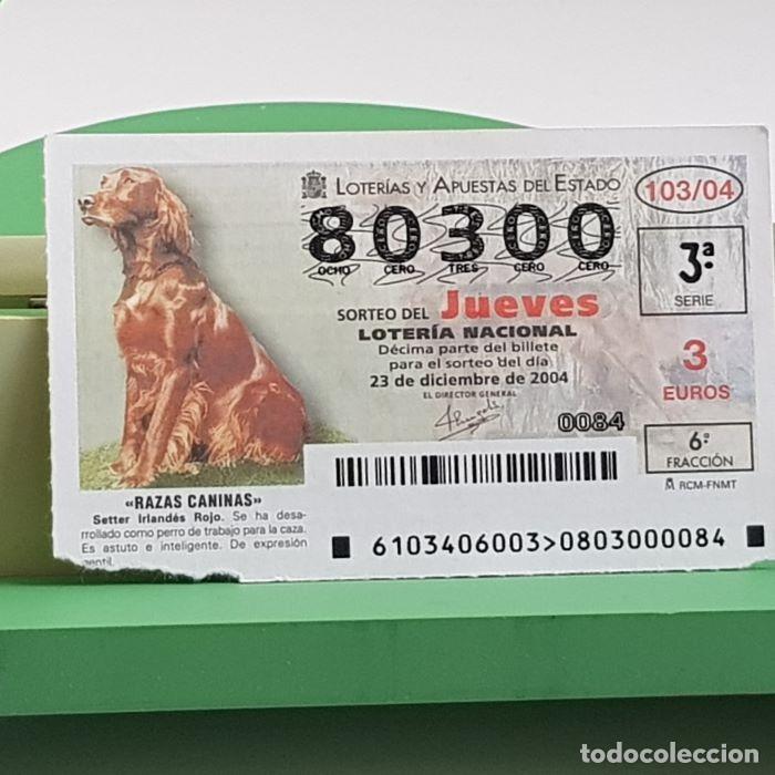 National Spanish Lottery: LOTER&Iacute;A NACIONAL, SORTEO JUEVES 103/04, 23 DICIEMBRE 2004, RAZAS CANINAS, SETTER IRLAND&Eacute;S, N&ordm; 80300