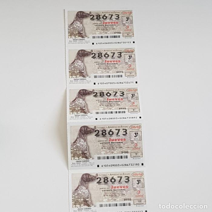 National Spanish Lottery: LOTER&Iacute;A NACIONAL, SORTEO JUEVES 105/04, 30 DICIEMBRE 2004, RAZAS CANINAS, BRACO ALEM&Aacute;N, N&ordm; 28673