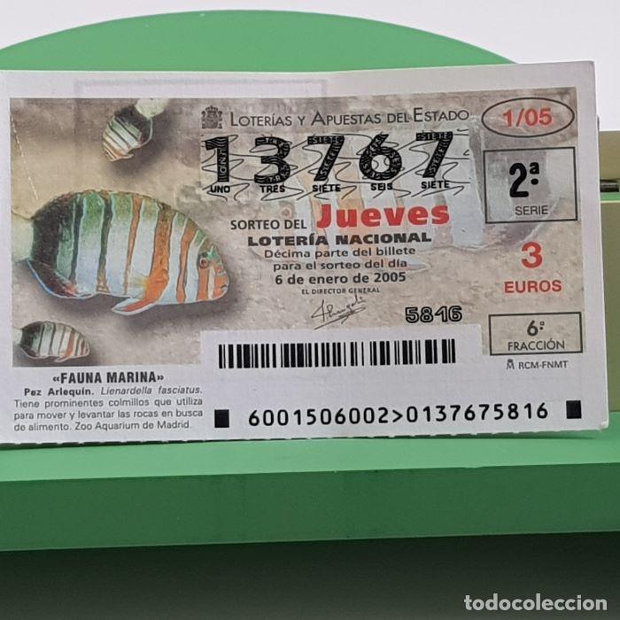 National Spanish Lottery: LOTER&Iacute;A NACIONAL, SORTEO JUEVES 1/05, 6 ENERO 2005, FAUNA MARINA, PEZ ARLEQU&Iacute;N, N&ordm; 13767