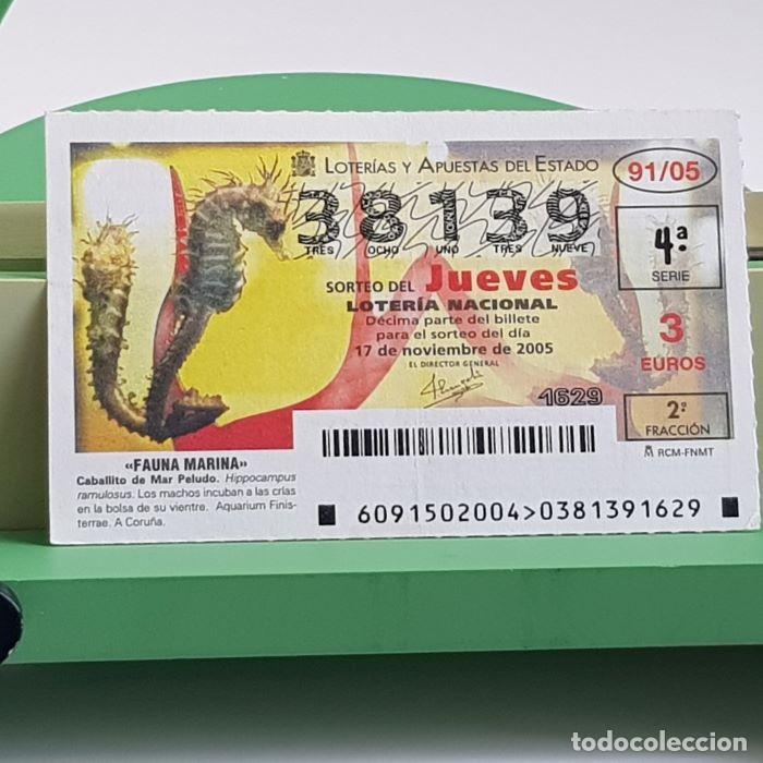 Nationale spanische Lotterie: LOTER&Iacute;A NACIONAL, SORTEO JUEVES 91/05, 17 NOVIEMBRE 2005, FAUNA MARINA, CABALLITO DE MAR, N&ordm; 38139