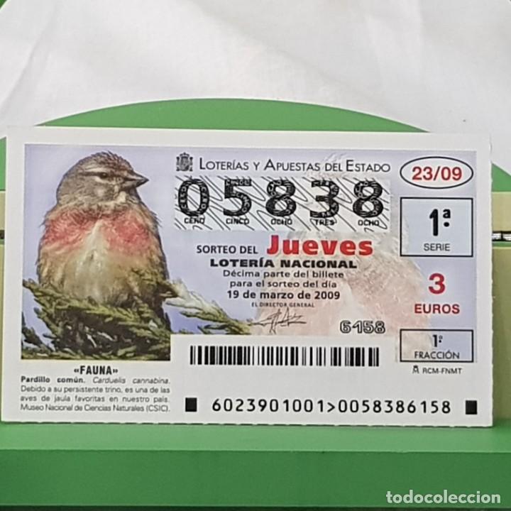 Loterie Nationale: LOTER&Iacute;A NACIONAL, JUEVES, SORTEO 23/09, 19 MARZO 2009, FAUNA, PARDILLO COM&Uacute;N, N&ordm; 05838