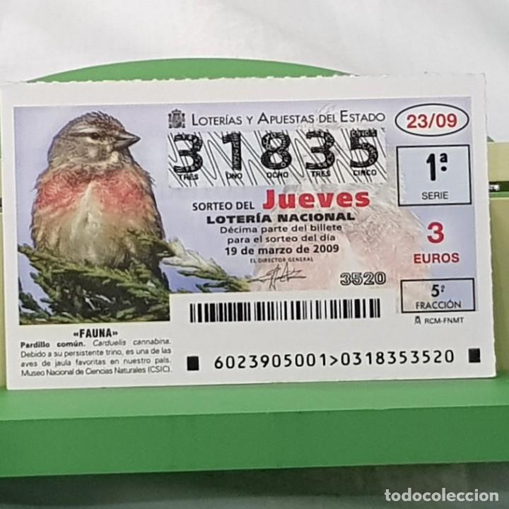 Lotaria Nacional: LOTER&Iacute;A NACIONAL, JUEVES, SORTEO 23/09, 19 MARZO 2009, FAUNA, PARDILLO COM&Uacute;N, N&ordm; 31835