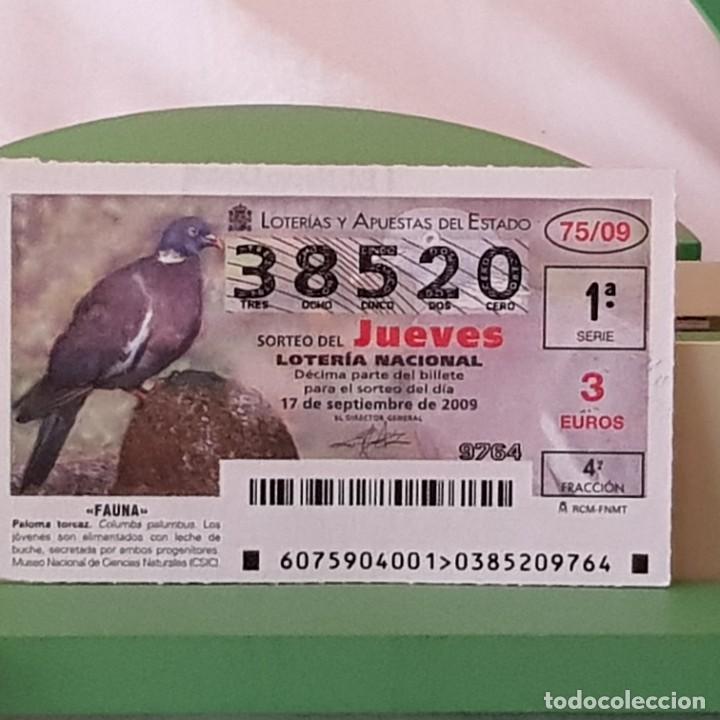 Loter&iacute;a Nacional: LOTER&Iacute;A NACIONAL, JUEVES, SORTEO 75/09, 17 SEPTIEMBRE 2009, FAUNA, PALOMA TORCAZ, N&ordm; 38520