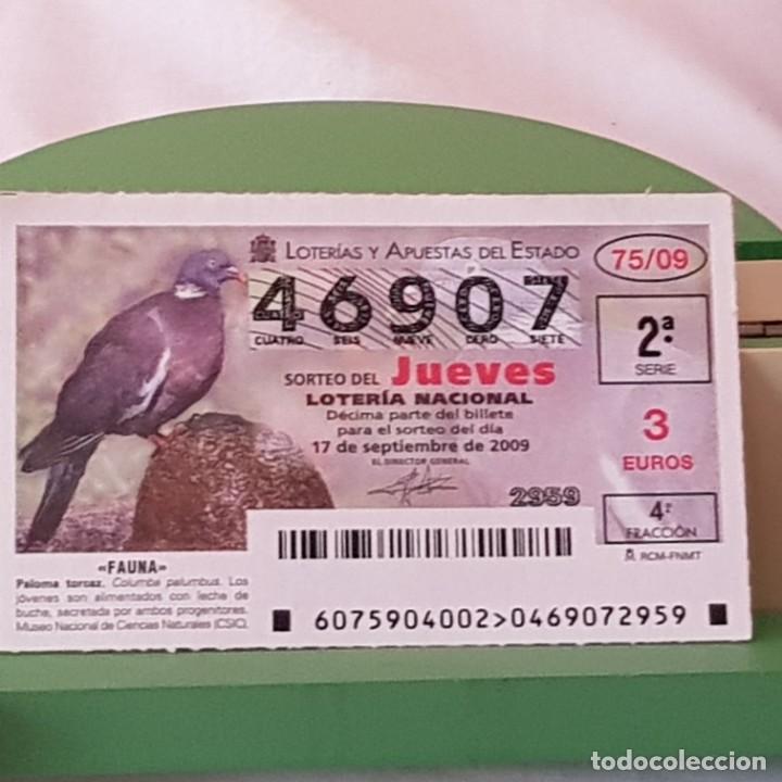 Loter&iacute;a Nacional: LOTER&Iacute;A NACIONAL, JUEVES, SORTEO 75/09, 17 SEPTIEMBRE 2009, FAUNA, PALOMA TORCAZ, N&ordm; 46907