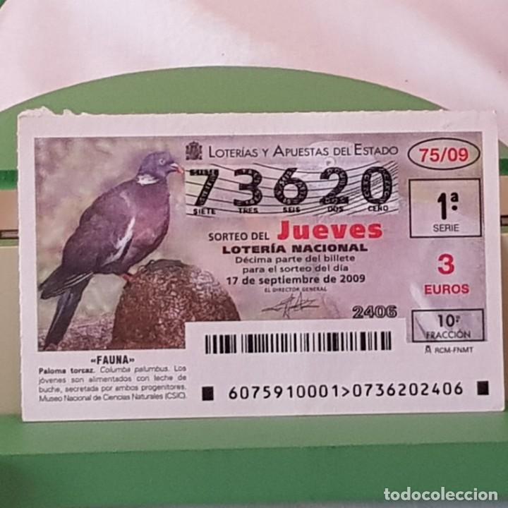Lotaria Nacional: LOTER&Iacute;A NACIONAL, JUEVES, SORTEO 75/09, 17 SEPTIEMBRE 2009, FAUNA, PALOMA TORCAZ, N&ordm; 73620