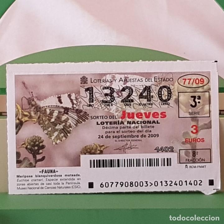 Lotaria Nacional: LOTER&Iacute;A NACIONAL, SORTEO 77/09, 24 SEPTIEMBRE 2009, MARIPOSA BLANQUIVERDOSA MOTEADA, N&ordm; 13240