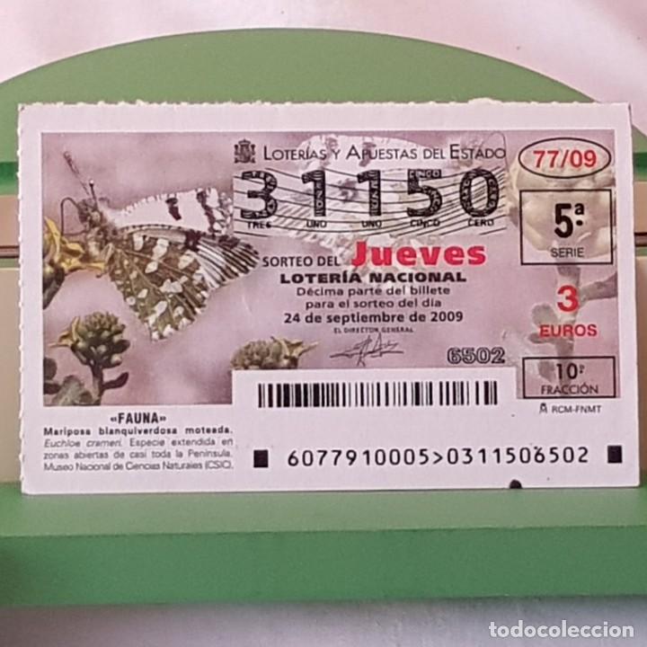 Lotaria Nacional: LOTER&Iacute;A NACIONAL, SORTEO 77/09, 24 SEPTIEMBRE 2009, MARIPOSA BLANQUIVERDOSA MOTEADA, N&ordm; 31150
