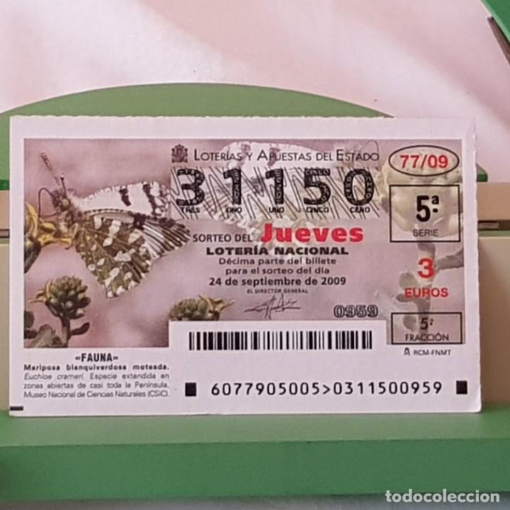 Lotaria Nacional: LOTER&Iacute;A NACIONAL, SORTEO 77/09, 24 SEPTIEMBRE 2009, MARIPOSA BLANQUIVERDOSA MOTEADA, N&ordm; 31150