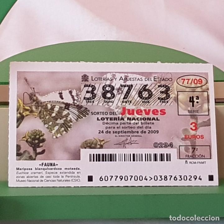 Lotaria Nacional: LOTER&Iacute;A NACIONAL, SORTEO 77/09, 24 SEPTIEMBRE 2009, MARIPOSA BLANQUIVERDOSA MOTEADA, N&ordm; 38763