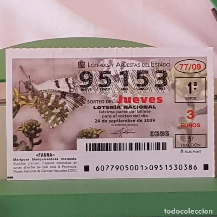 Lotaria Nacional: LOTER&Iacute;A NACIONAL, SORTEO 77/09, 24 SEPTIEMBRE 2009, MARIPOSA BLANQUIVERDOSA MOTEADA, N&ordm; 95153