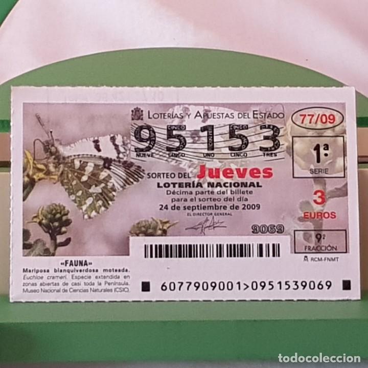 Lotaria Nacional: LOTER&Iacute;A NACIONAL, SORTEO 77/09, 24 SEPTIEMBRE 2009, MARIPOSA BLANQUIVERDOSA MOTEADA, N&ordm; 95153