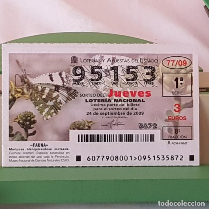 Lotaria Nacional: LOTER&Iacute;A NACIONAL, SORTEO 77/09, 24 SEPTIEMBRE 2009, MARIPOSA BLANQUIVERDOSA MOTEADA, N&ordm; 95153