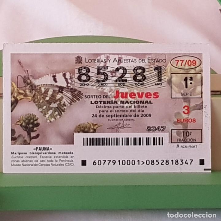 Lotaria Nacional: LOTER&Iacute;A NACIONAL, SORTEO 77/09, 24 SEPTIEMBRE 2009, MARIPOSA BLANQUIVERDOSA MOTEADA, N&ordm; 85281