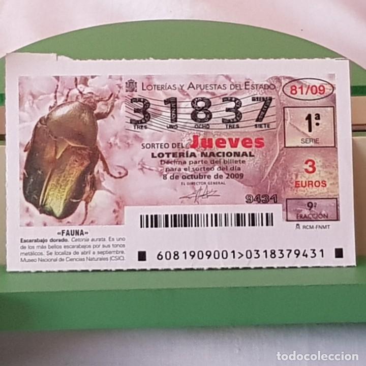 Lotaria Nacional: LOTER&Iacute;A NACIONAL, JUEVES, SORTEO 81/09, 8 OCTUBRE 2009, FAUNA, ESCARABAJO DORADO, N&ordm; 31837