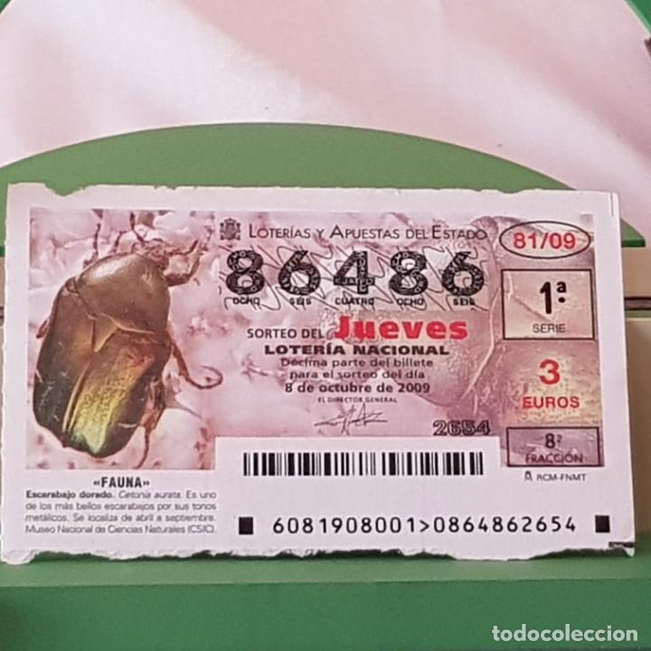 Lotaria Nacional: LOTER&Iacute;A NACIONAL, JUEVES, SORTEO 81/09, 8 OCTUBRE 2009, FAUNA, ESCARABAJO DORADO, N&ordm; 86486