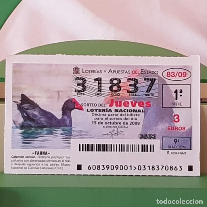 Lotaria Nacional: LOTER&Iacute;A NACIONAL, JUEVES, SORTEO 83/09, 15 OCTUBRE 2009, FAUNA, CALAM&Oacute;N COM&Uacute;N, N&ordm; 31837