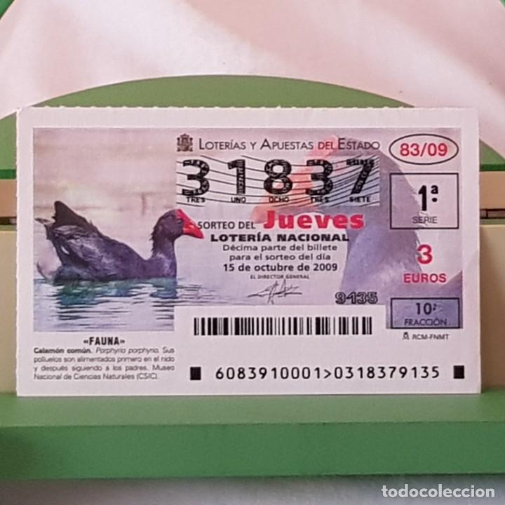 Lotaria Nacional: LOTER&Iacute;A NACIONAL, JUEVES, SORTEO 83/09, 15 OCTUBRE 2009, FAUNA, CALAM&Oacute;N COM&Uacute;N, N&ordm; 31837