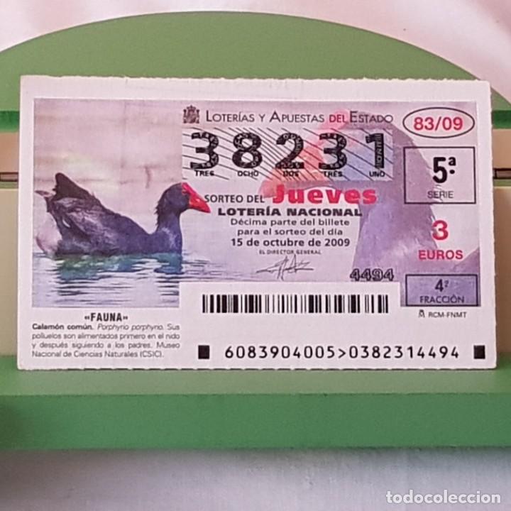 Lotaria Nacional: LOTER&Iacute;A NACIONAL, JUEVES, SORTEO 83/09, 15 OCTUBRE 2009, FAUNA, CALAM&Oacute;N COM&Uacute;N, N&ordm; 38231
