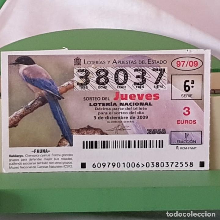 Loterie Nationale: LOTER&Iacute;A NACIONAL, JUEVES, SORTEO 97/09, 3 DICIEMBRE 2009, FAUNA, RABILARGO, N&ordm; 38037