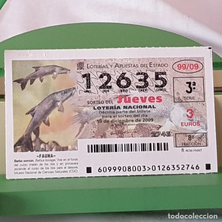Loterie Nationale: LOTER&Iacute;A NACIONAL, JUEVES, SORTEO 99/09, 10 DICIEMBRE 2009, FAUNA, BARBO COM&Uacute;N, N&ordm; 12635, LEER
