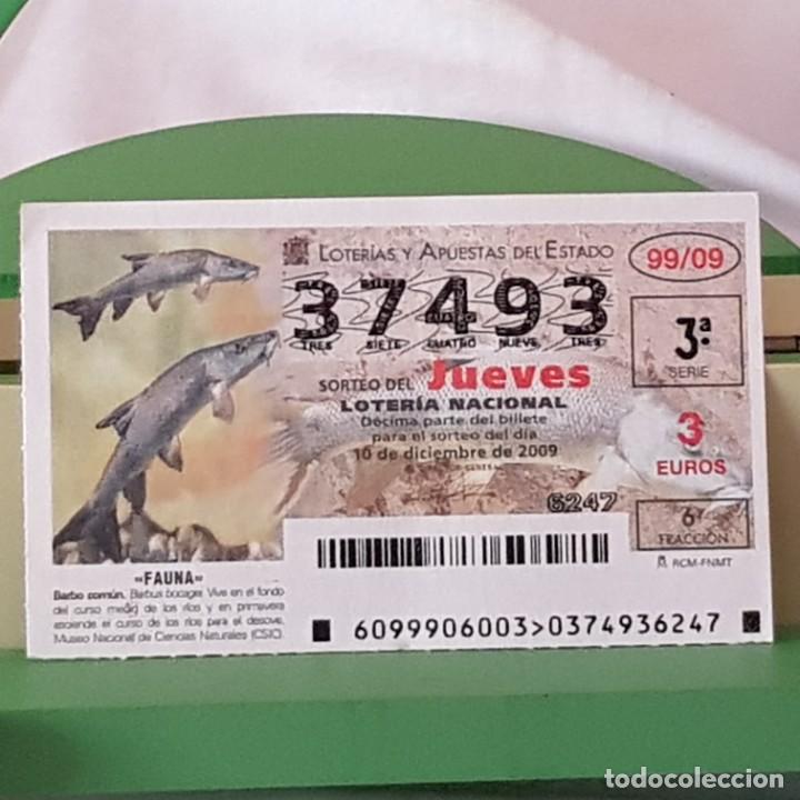 Loterie Nationale: LOTER&Iacute;A NACIONAL, JUEVES, SORTEO 99/09, 10 DICIEMBRE 2009, FAUNA, BARBO COM&Uacute;N, N&ordm; 37493