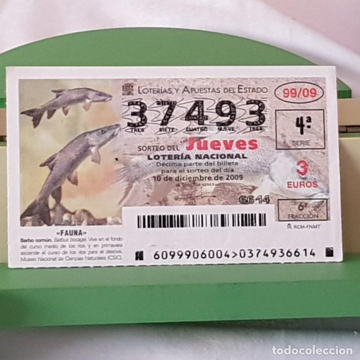 Loterie Nationale: LOTER&Iacute;A NACIONAL, JUEVES, SORTEO 99/09, 10 DICIEMBRE 2009, FAUNA, BARBO COM&Uacute;N, N&ordm; 37493