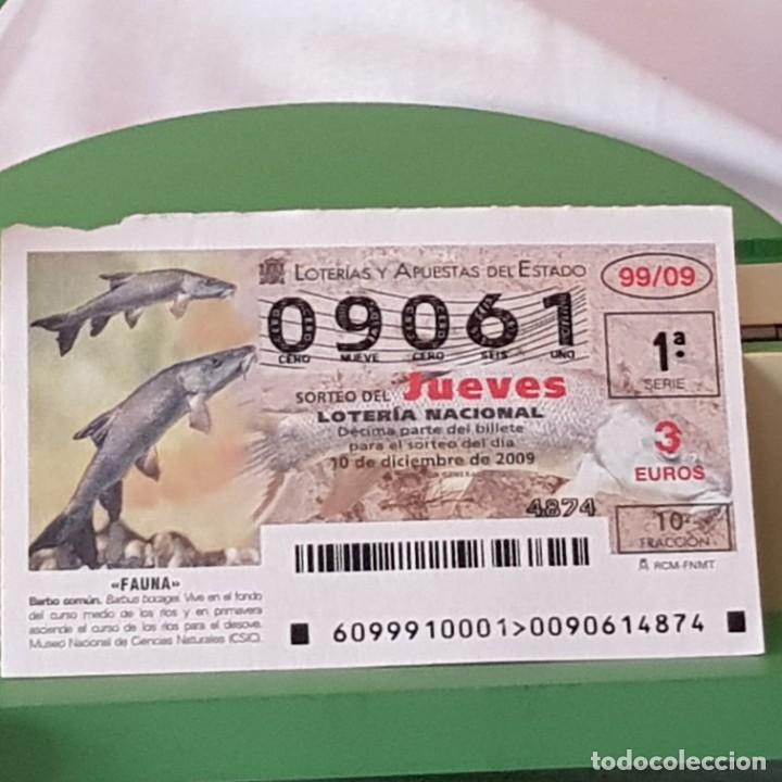 Loterie Nationale: LOTER&Iacute;A NACIONAL, JUEVES, SORTEO 99/09, 10 DICIEMBRE 2009, FAUNA, BARBO COM&Uacute;N, N&ordm; 09061, LEER