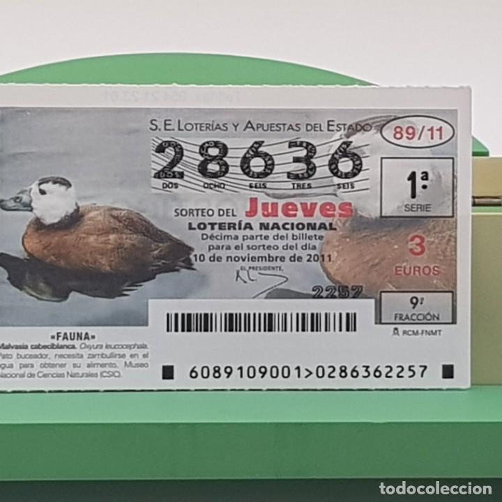Loterie Nationale: LOTER&Iacute;A NACIONAL, SORTEO 89/11, 10 NOVIEMBRE 2011, FAUNA, MALVASIA CABECIBLANCA, N&ordm; 28636