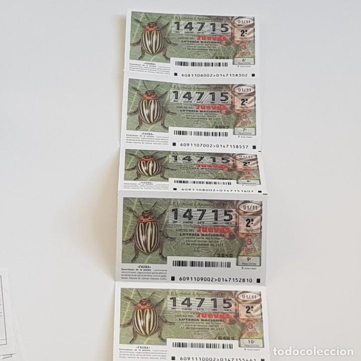 National Spanish Lottery: LOTER&Iacute;A MEDIO BILLETE, SORTEO 91/11,17 NOVIEMBRE 2011, FAUNA, ESCARABAJO DE LA PATATA, N&ordm; 14175