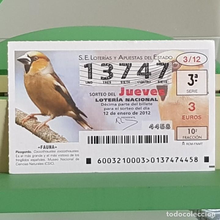 Loterie Nationale: LOTERIA NACIONAL, SORTEO 03/12, 12 ENERO 2012, FAUNA, PICOGORDO, N&ordm; 13747