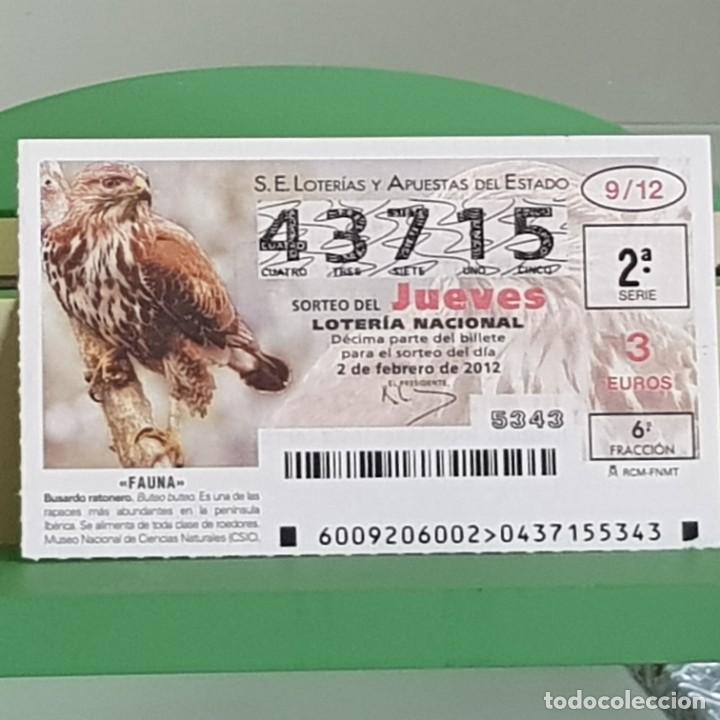 Loterie Nationale: LOTERIA NACIONAL, SORTEO 09/12, 2 FEBRERO 2012, FAUNA, BUSARDO RATONERO, N&ordm; 43715