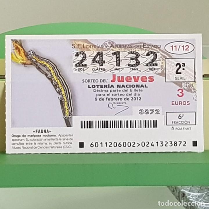 Loterie Nationale: LOTERIA NACIONAL, SORTEO 11/12, 9 FEBRERO 2012, FAUNA, ORUGA DE MARIPOSA NOCTURNA, N&ordm; 24132
