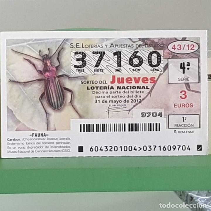 Loter&iacute;a Nacional: LOTERIA NACIONAL, SORTEO 43/12, 31 MAYO 2012, FAUNA, CARABUS, N&ordm; 37160