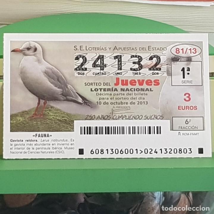 Lotteria Nationale Spagnola: LOTER&Iacute;A NACIONAL, SORTEO 81/13, 10 OCTUBRE 2013, FAUNA, GAVIOTA REIDORA, N&ordm; 24132