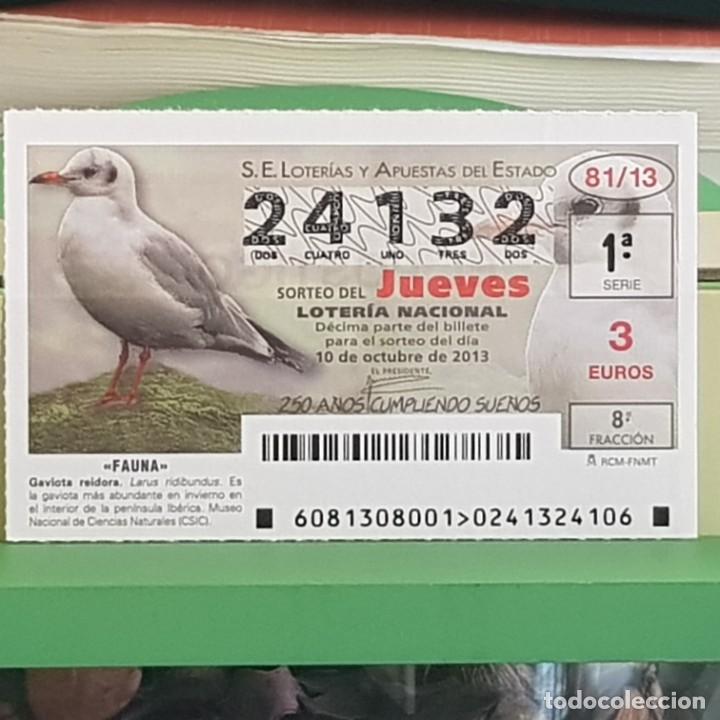 Lotteria Nationale Spagnola: LOTER&Iacute;A NACIONAL, SORTEO 81/13, 10 OCTUBRE 2013, FAUNA, GAVIOTA REIDORA, N&ordm; 24132