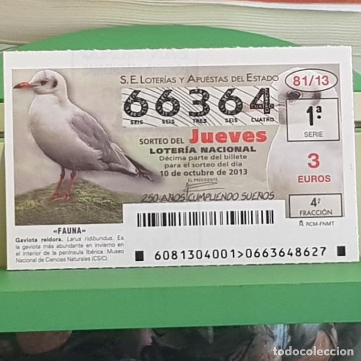 Lotteria Nationale Spagnola: LOTER&Iacute;A NACIONAL, SORTEO 81/13, 10 OCTUBRE 2013, FAUNA, GAVIOTA REIDORA, N&ordm; 66364