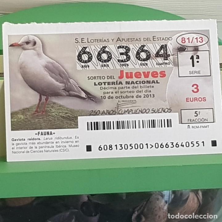 Lotteria Nationale Spagnola: LOTER&Iacute;A NACIONAL, SORTEO 81/13, 10 OCTUBRE 2013, FAUNA, GAVIOTA REIDORA, N&ordm; 66364