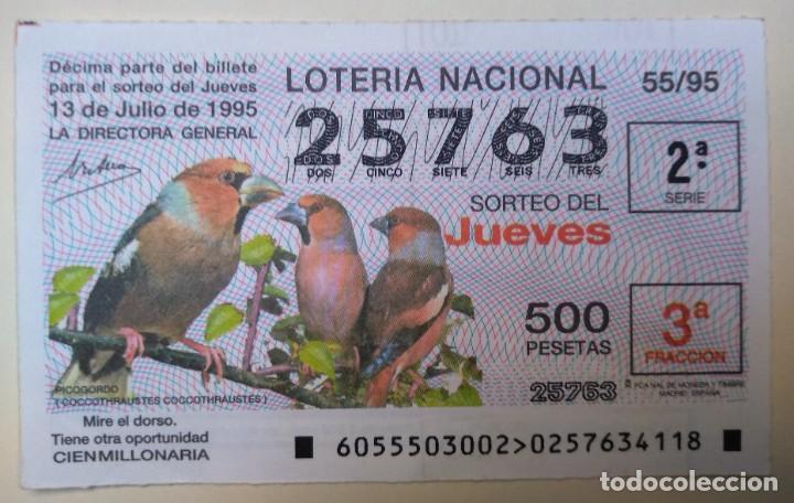 National Spanish Lottery: Loter&iacute;a Nacional del jueves 1995 sorteo 55