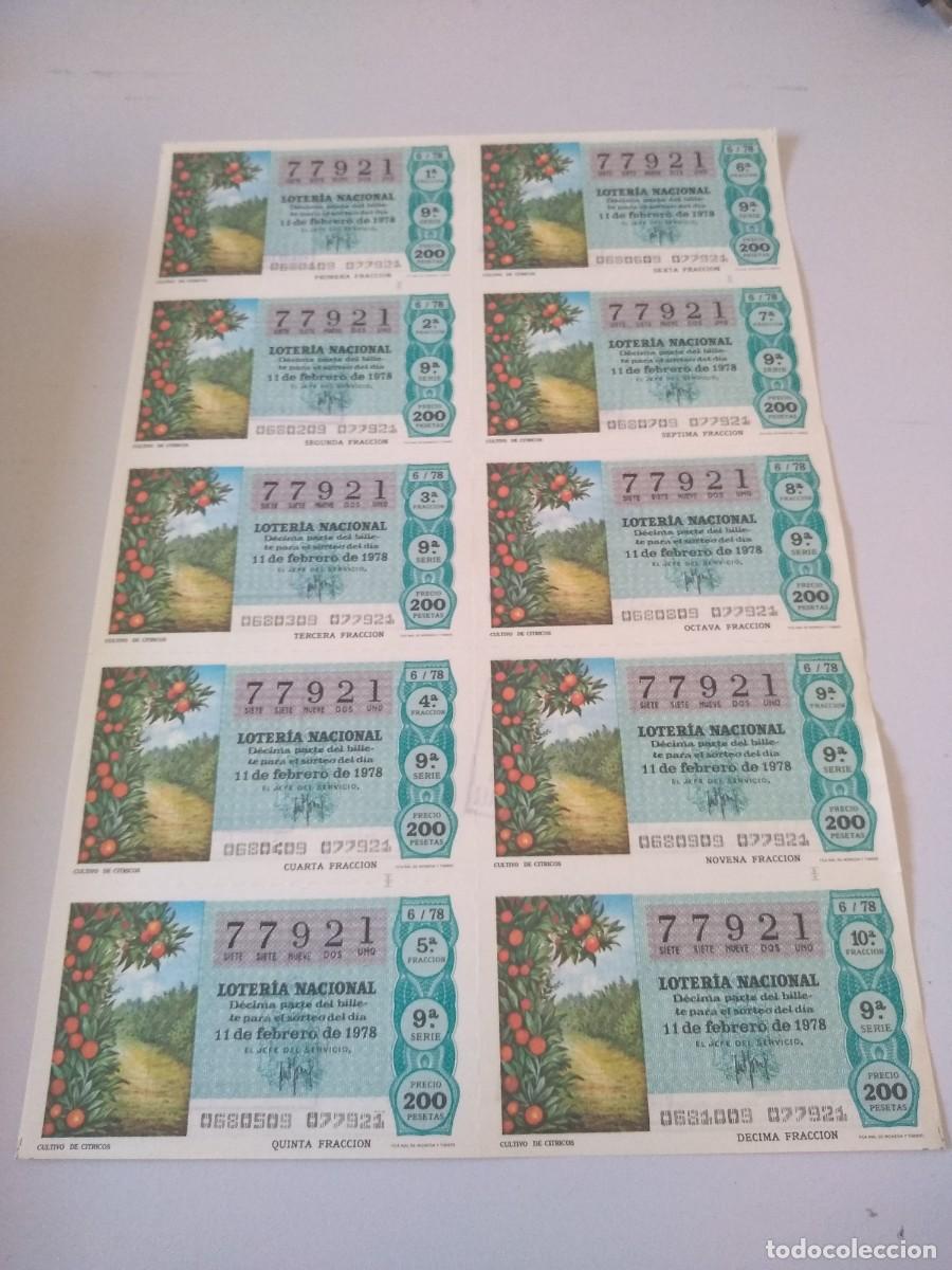 Loter&iacute;a nacional: LOTER&Iacute;A NACIONAL ESPA&Ntilde;A - 11 FEBRERO 1978 - 10 D&Eacute;CIMOS N&Uacute;MERO 77921 CULTIVO DE CITRICOS