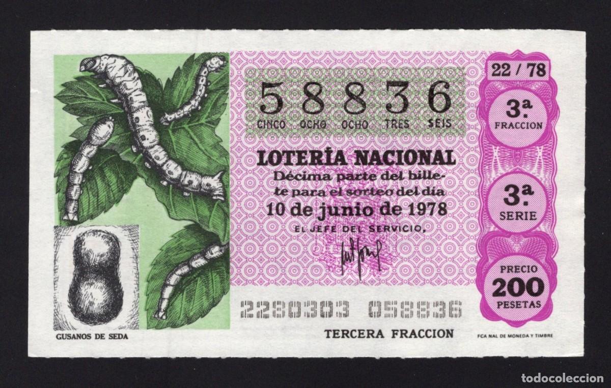 Nationale spanische Lotterie: L. Nacional 10 Junio 1978. Gusanos de Seda. N&ordm; 58836. Adm&oacute;n n&ordm; 2 Sonsoles. &Aacute;vila. Desaparecida.